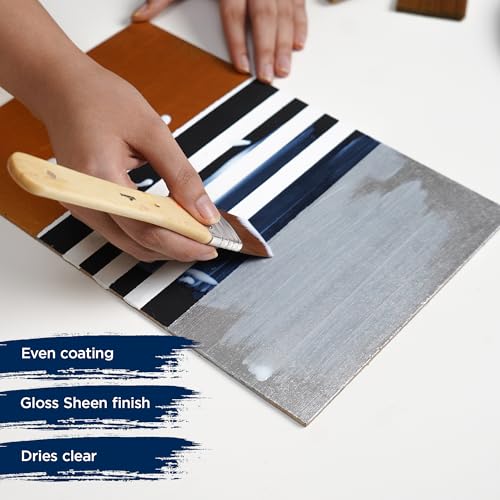 Signature Gloss Varnish for Acrylic Painting