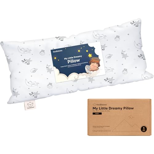 Toddler Pillow with Pillowcase