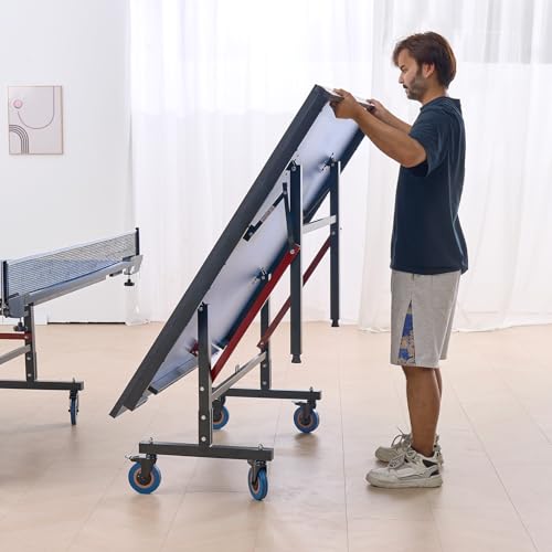 Ping Pong Table