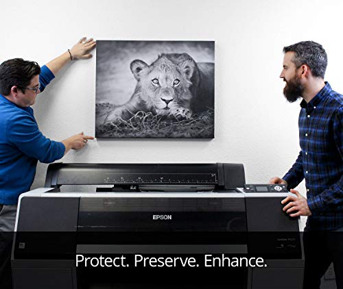 Timeless Archival Print Varnish