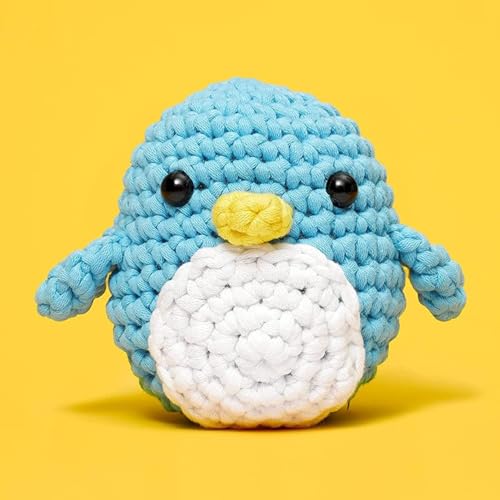 Crochet Kit for Beginners