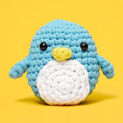 Crochet Kit for Beginners