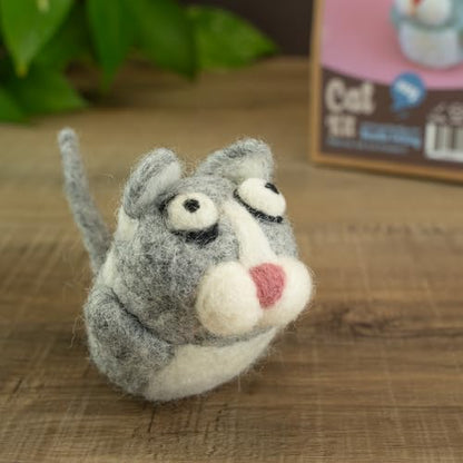 Needle Felting Starter Kit