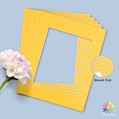 Mat Board Center 10 Pack 11x14 Photo Mats for 8x10 Picture (10 Count)