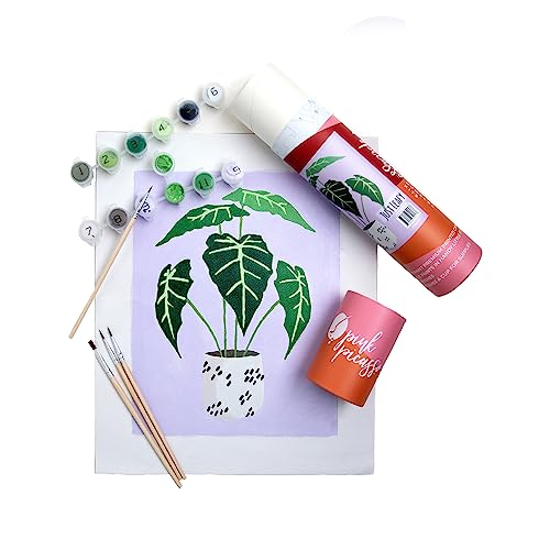 Paint by Number Kit