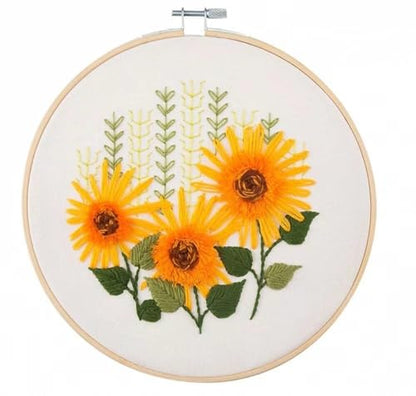 Needle Point Kits Adults Full Range of Starter Including Instructions Stamped Cloth with Pattern Hoop Color Threads and Tools Art Projects