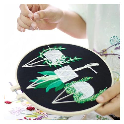 Needle Point Kits Adults Full Range of Starter Including Instructions Stamped Cloth with Pattern Hoop Color Threads and Tools Art Projects