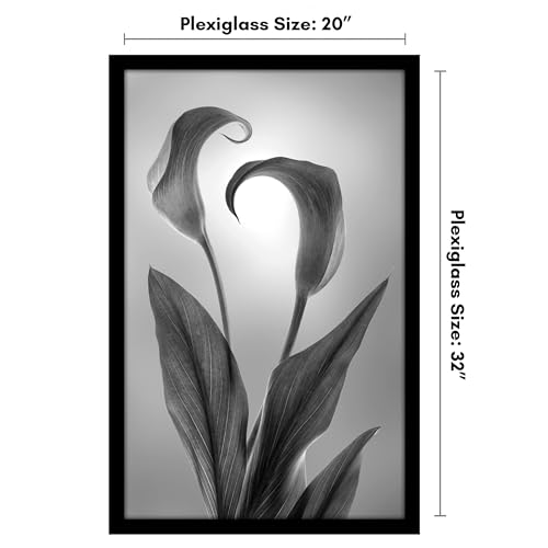 20x32 Poster Frame