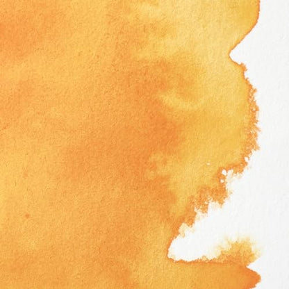 Professional Watercolor