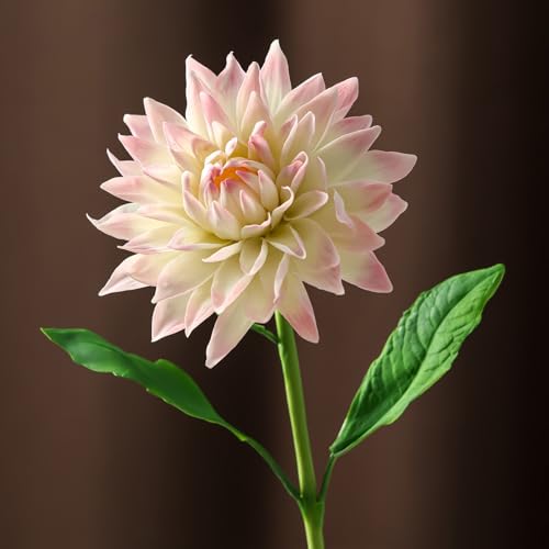 Professional Flower Fondant Mold Set