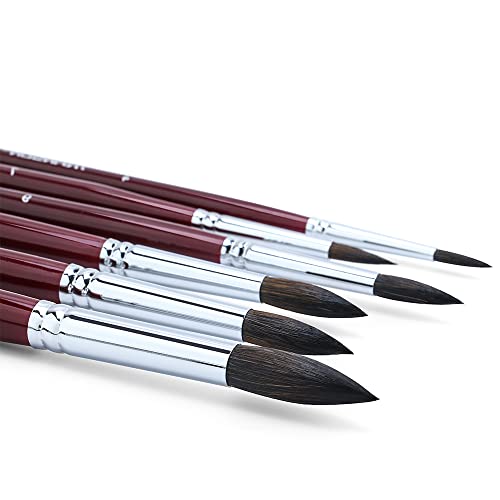 Squirrel Hair Round Paint Brush Set for Watercolor Gouache Ink Acrylic Art Painting Short (6 Count)