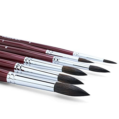 Squirrel Hair Round Paint Brush Set for Watercolor Gouache Ink Acrylic Art Painting Short (6 Count)