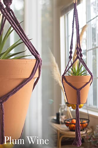Macrame Kit Makes 3 DIY Plant Hangers for Teens & Adult Beginners
