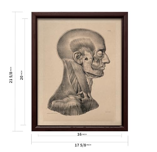 Vintage Science Canvas