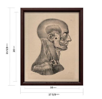 Vintage Science Canvas