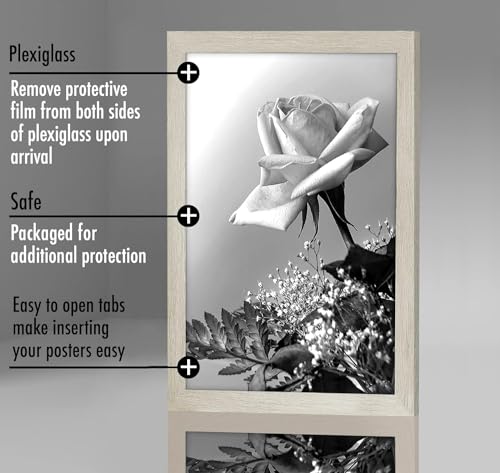 12x18 Poster Frame