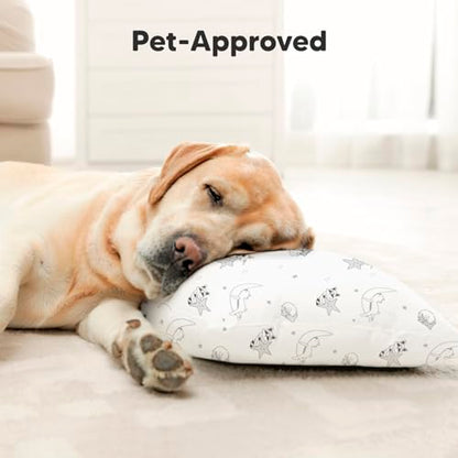 Toddler Pillow with Pillowcase