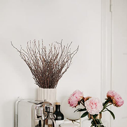50PCS Birch Twigs (50 Count)