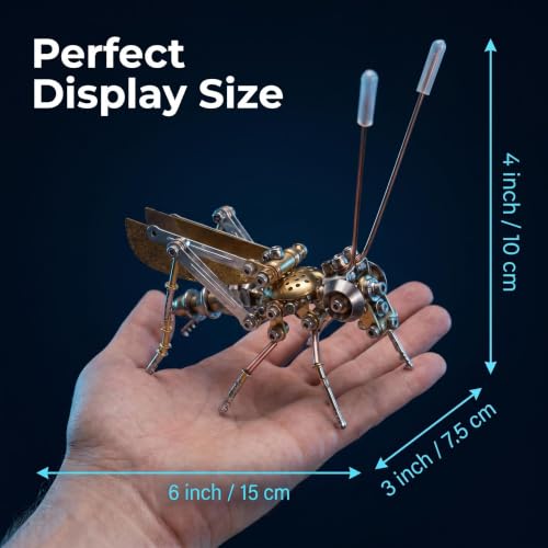 Steampunk Cricket 3D Metal Puzzle Model (160 Count)