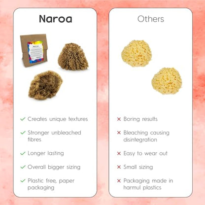 Natural Artist Sea Sponges for Painting 2 Pack (2 Count)