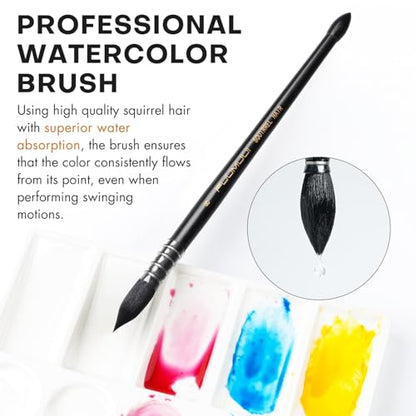 3PCS Squirrel Hair Watercolor Brushes (3 Count)