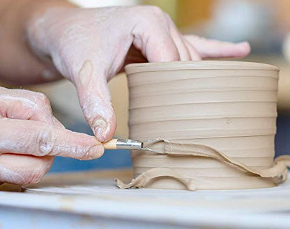 14PCS Ceramic Pottery Clay Ribbon Sculpting Tool Kit with Feather Wire Texture and Needle Detail Tools for Carving (14 Count)