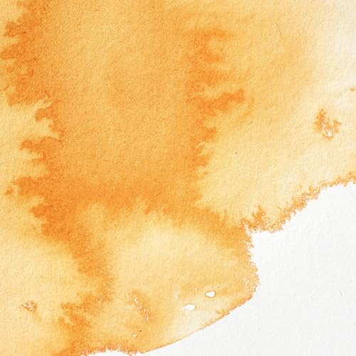 Professional Watercolor