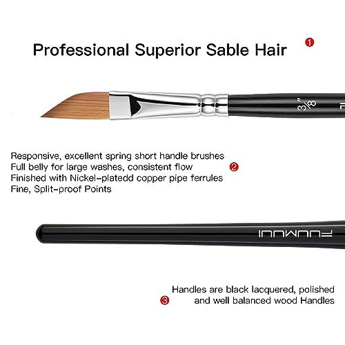 Sable Watercolor Brushes Professional Kolinsky Sable Brushes 7pcs (7 Count)