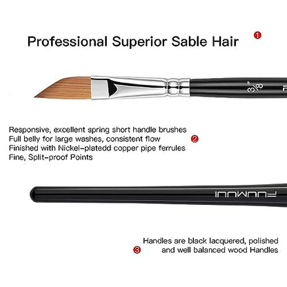 Sable Watercolor Brushes Professional Kolinsky Sable Brushes 7pcs (7 Count)