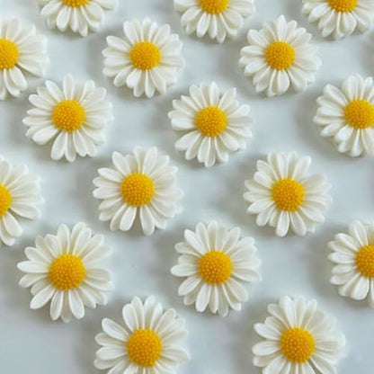 2Pcs Chrysanthemum Flower Silicone Mold for Fondant Cake Decorating