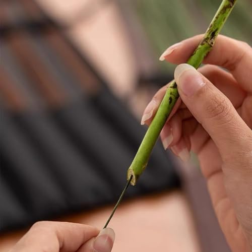 76Yards 22Gauge Coffee Colour Metal Floral Wire Flexible Paddle Florist Garden Wire for Flower Arrangement (228 Foot)