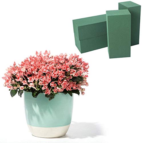 Floral Foam Bricks