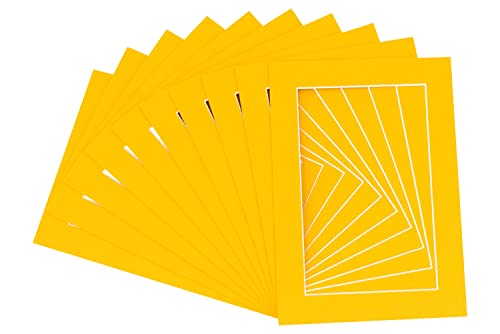 Pack of Ten Acid Free 11x14 Mats Bevel Cut for 8.5x11 Photos (10 Count)