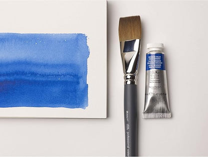 Professional Watercolor