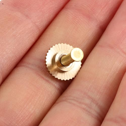 10 Sets Butterfly Cap Spike Horse Needles Metal Pin Back with Screw Caps for Crafting Brooches Badges Hat Pins Accessories (10 Count)