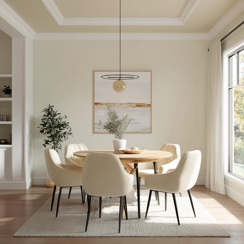 Interior Paint & Primer (640 Fl Oz)