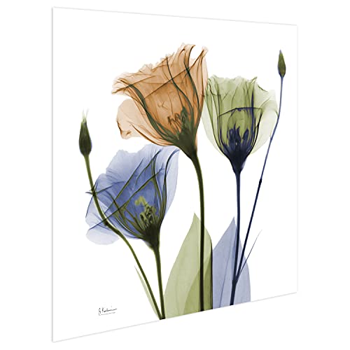 Frameless Free Floating Tempered Glass Panel Graphic Wall Art Ready to Hang