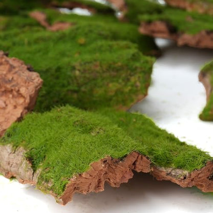 Assorted Artificial Moss Bark