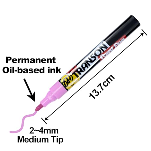 12 Colors Permanent Fabric Markers Oil Based Waterproof for Rocks Crafts Diy Painting Medium Tip (12 Count)