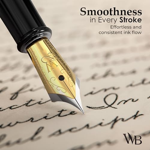 Fountain Pen Set for Writing