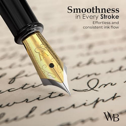 Fountain Pen Set for Writing