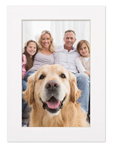 6x8 Mat for 8x10 Frame (25 Count)