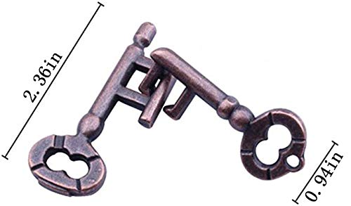Brain Teaser Puzzle for Adults Puzzles Metal Hole Lock Adult Educational Toy Jigsaw IQ Puzzle