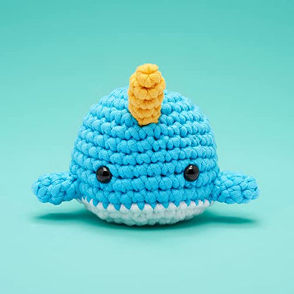 Crochet Kit for Beginners