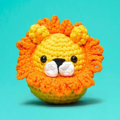 Crochet Kit for Beginners