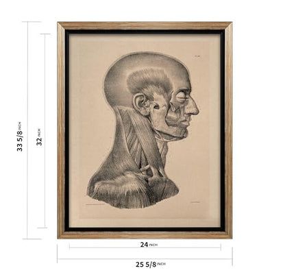 Vintage Science Canvas