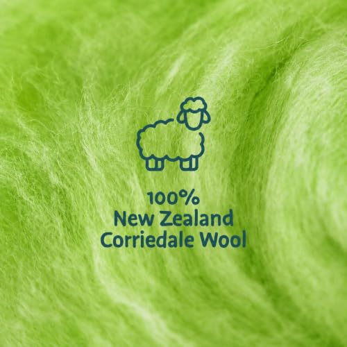Wool Roving Kit for Needle Felting