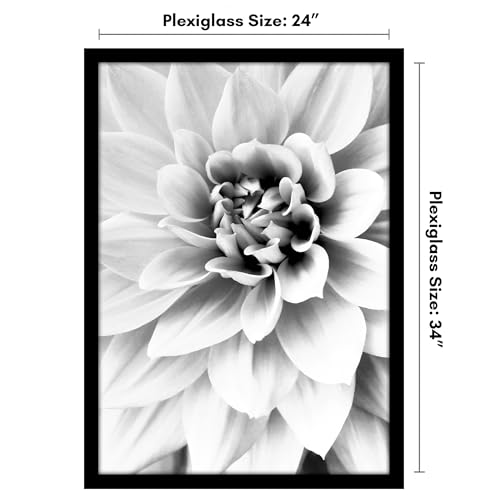 24x34 Poster Frame