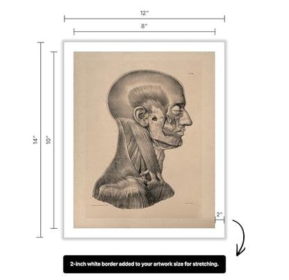 Vintage Science Canvas