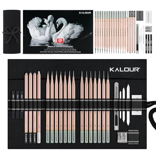 29 Pro Sketching Drawing Pencils Set with Roll (29 Count)